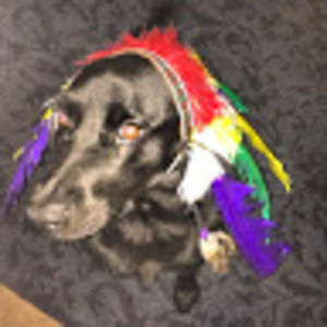 Meet your Posher, Colby